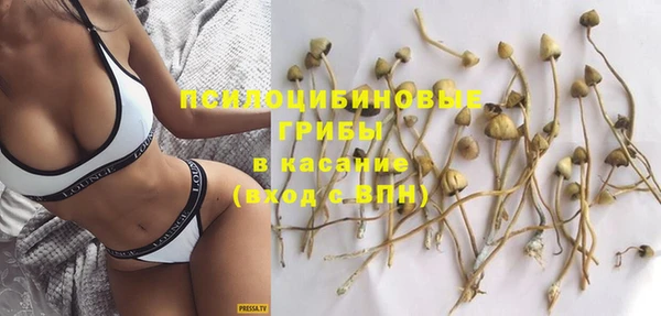 ECSTASY Балахна