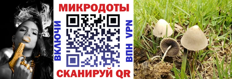 Галлюциногенные грибы мицелий  купить наркотик  Ленинск 