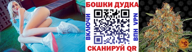 Бошки Шишки OG Kush Ленинск